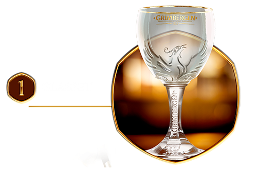 GRIMBERGEN_Perfect_Serve_1.png