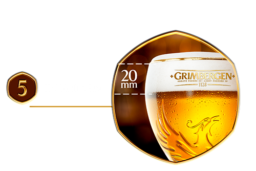 GRIMBERGEN_Perfect_Serve_5.png